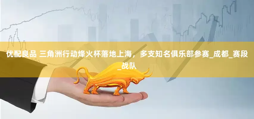 优配良品 三角洲行动烽火杯落地上海，多支知名俱乐部参赛_成都_赛段_战队
