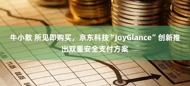 牛小散 所见即购买，京东科技“JoyGlance”创新推出双重安全支付方案