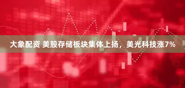 大象配资 美股存储板块集体上扬，美光科技涨7%